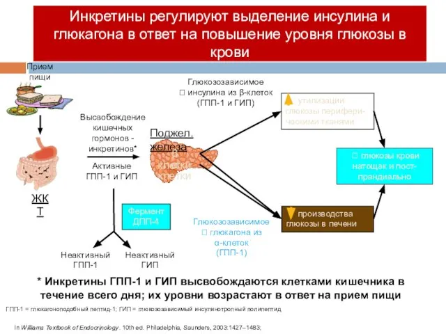 ГПП-1 = глюкагоноподобный пептид-1; ГИП = глюкозозависимый инсулинотропный полипептид Прием пищи