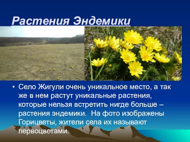 Растения Эндемики Село Жигули очень уникальное место, а так же в