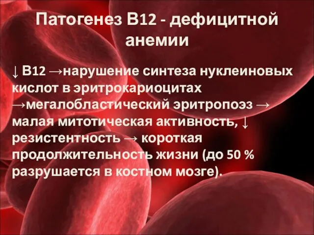 Патогенез В12 - дефицитной анемии ↓ В12 →нарушение синтеза нуклеиновых кислот