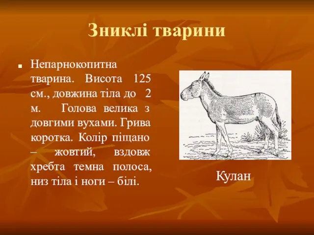 Зниклі тварини Непарнокопитна тварина. Висота 125 см., довжина тіла до 2