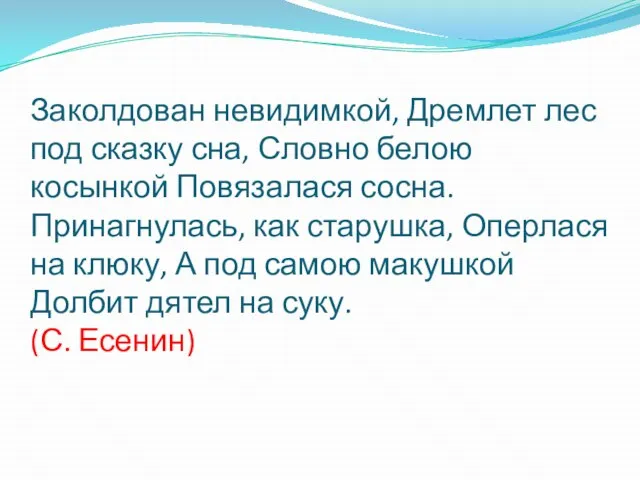 Заколдован невидимкой, Дремлет лес под сказку сна, Словно белою косынкой Повязалася