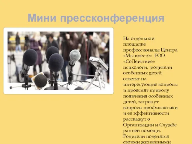 Мини прессконференция На отдельной площадке профессионалы Центра «Мы вместе» РОО «СоДействие»