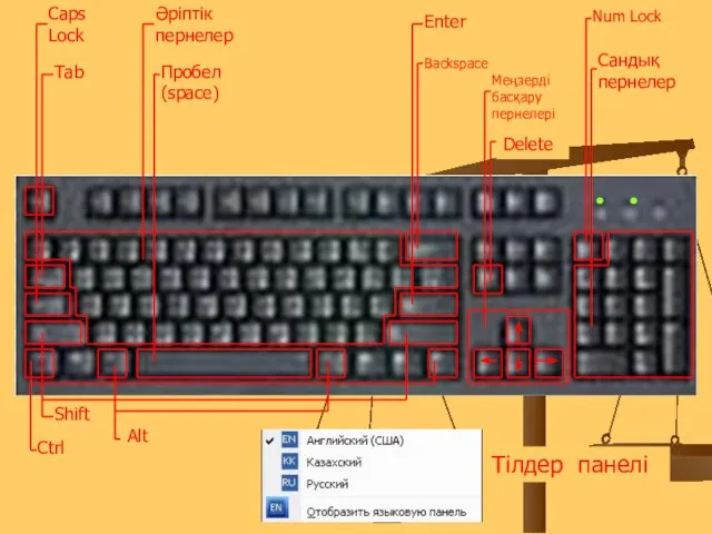 Caps Lock Әріптік пернелер Tab Enter Backspace Num Lock Cандық пернелер