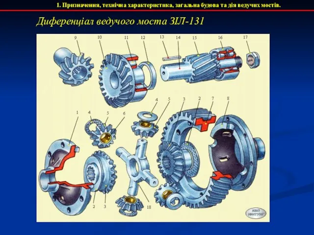1. Призначення, технічна характеристика, загальна будова та дія ведучих мостів. Диференціал ведучого моста ЗІЛ-131