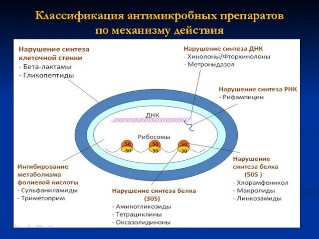 Классификация антимикробных препаратов по механизму действия