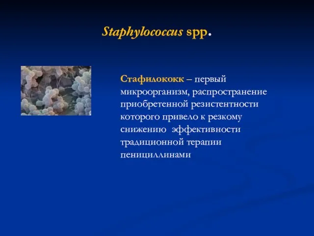 Staphylococcus spp. Стафилококк – первый микроорганизм, распространение приобретенной резистентности которого привело