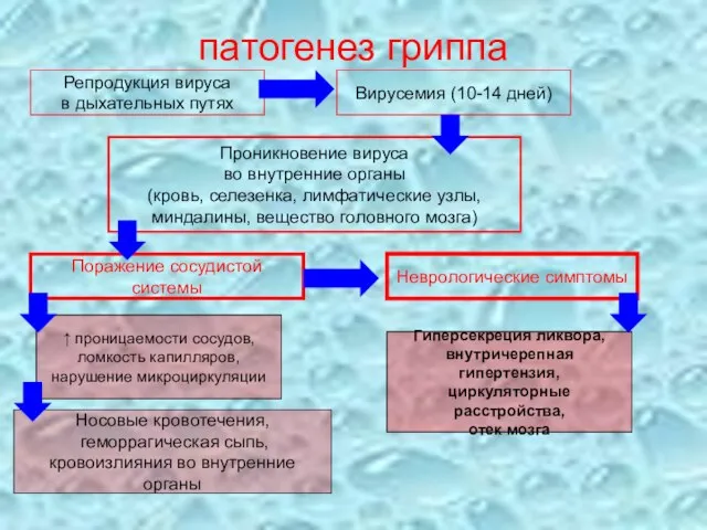 патогенез гриппа Репродукция вируса в дыхательных путях Вирусемия (10-14 дней) Проникновение