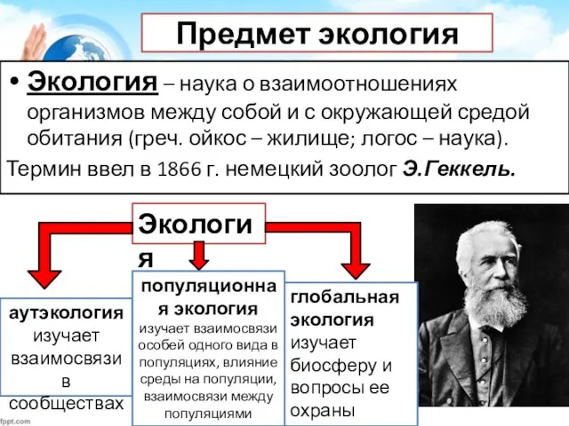 Предмет экология Экология – наука о взаимоотношениях организмов между собой и