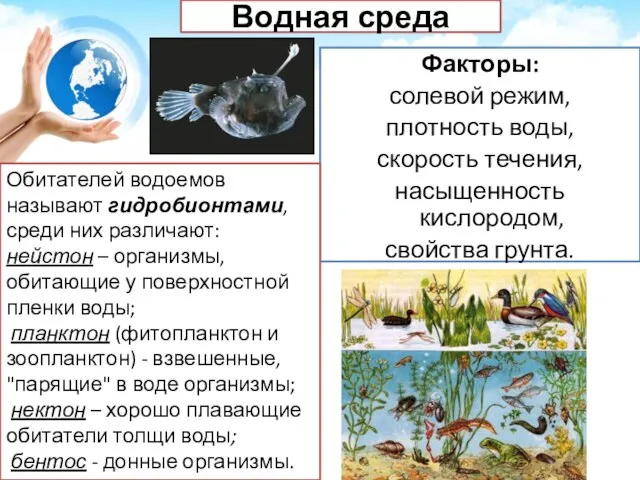 Водная среда Факторы: солевой режим, плотность воды, скорость течения, насыщенность кислородом,