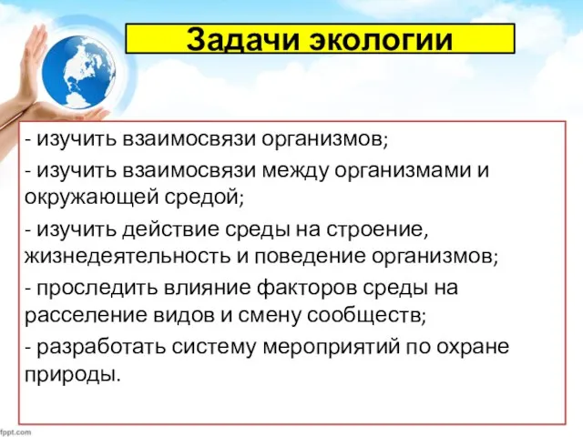 Задачи экологии - изучить взаимосвязи организмов; - изучить взаимосвязи между организмами