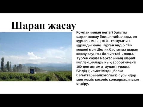 Шарап жасау Компанияның негізгі бағыты шарап жасау болып табылады, ол құрылымның