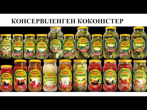 КОНСЕРВІЛЕНГЕН КӨКӨНІСТЕР