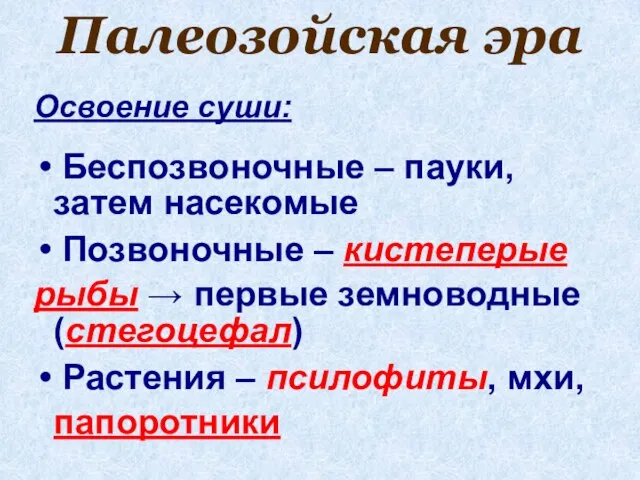 Палеозойская эра Освоение суши: Беспозвоночные – пауки, затем насекомые Позвоночные –