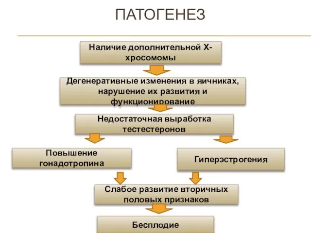 ПАТОГЕНЕЗ Наличие дополнительной Х-хросомомы Дегенеративные изменения в яичниках, нарушение их развития