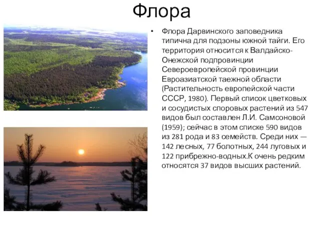 Флора Флора Дарвинского заповедника типична для подзоны южной тайги. Его территория