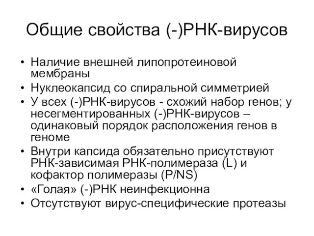 Общие свойства (-)РНК-вирусов Наличие внешней липопротеиновой мембраны Нуклеокапсид со спиральной симметрией