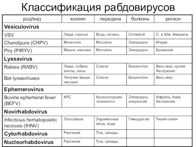 Классификация рабдовирусов