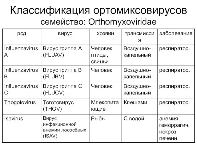 Классификация ортомиксовирусов семейство: Orthomyxoviridae