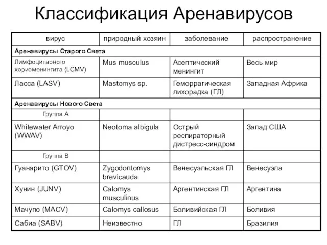 Классификация Аренавирусов