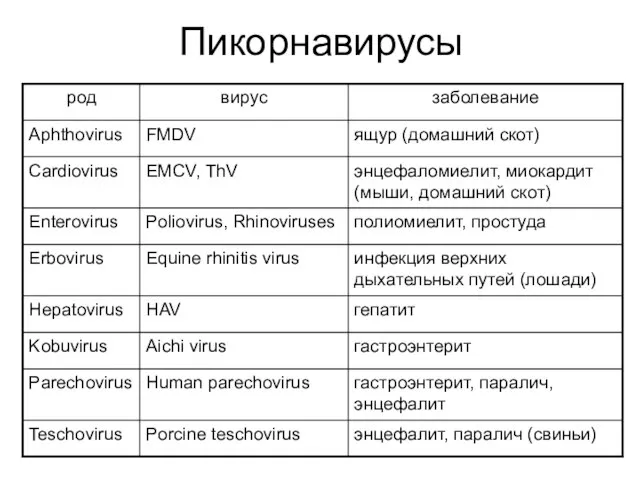 Пикорнавирусы