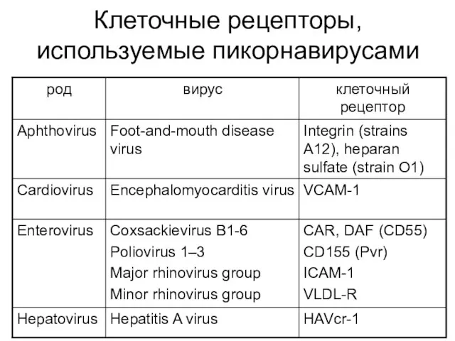 Клеточные рецепторы, используемые пикорнавирусами