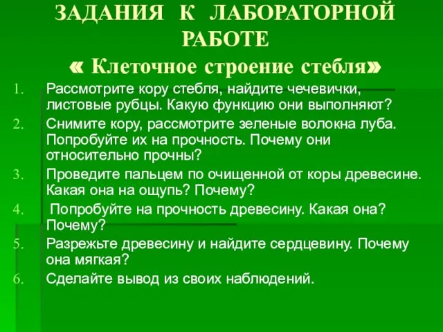 ЗАДАНИЯ К ЛАБОРАТОРНОЙ РАБОТЕ « Клеточное строение стебля» Рассмотрите кору стебля,