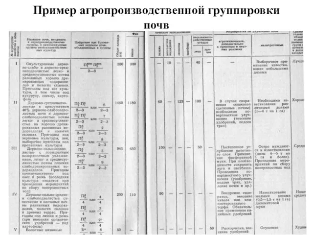 Пример агропроизводственной группировки почв