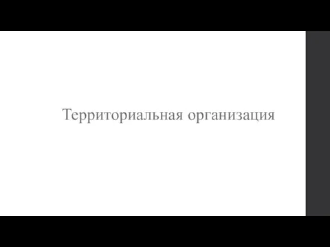 Территориальная организация