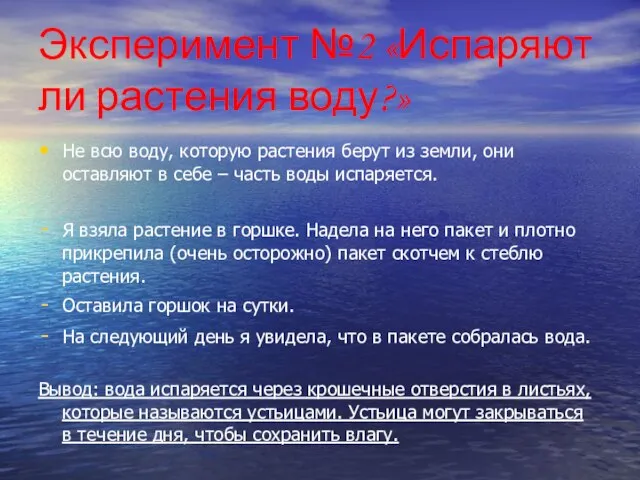 Эксперимент №2 «Испаряют ли растения воду?» Не всю воду, которую растения