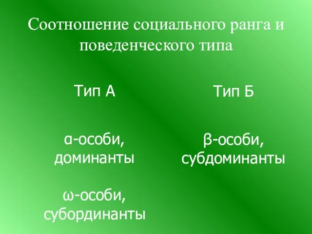 Соотношение социального ранга и поведенческого типа Тип А α-особи, доминанты ω-особи, субординанты Тип Б β-особи, субдоминанты