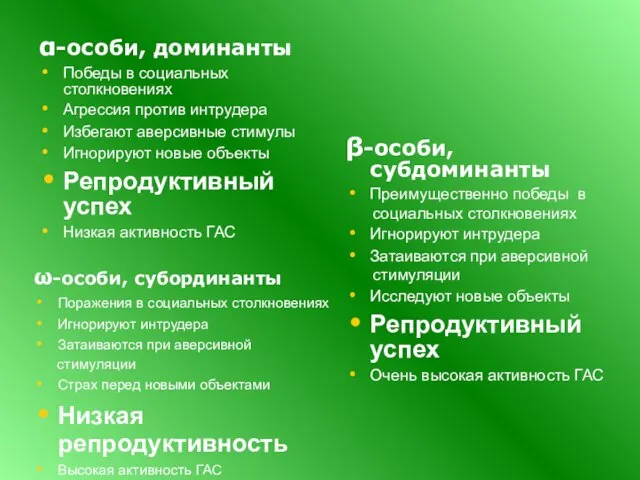 α-особи, доминанты Победы в социальных столкновениях Агрессия против интрудера Избегают аверсивные