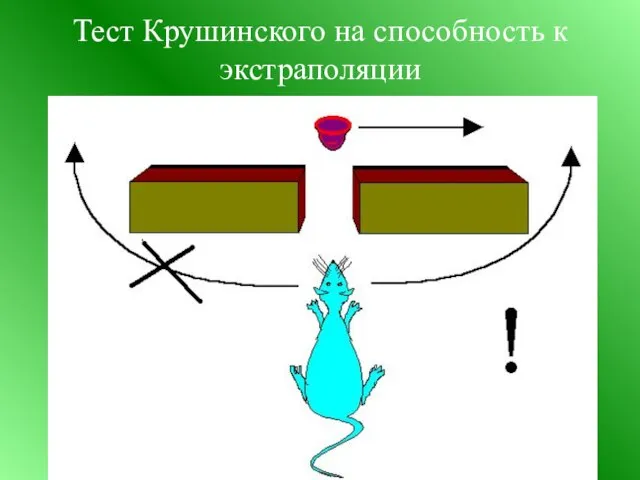 Тест Крушинского на способность к экстраполяции