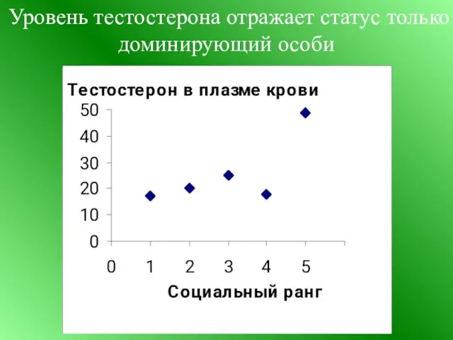 Уровень тестостерона отражает статус только доминирующий особи