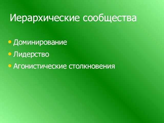 Иерархические сообщества Доминирование Лидерство Агонистические столкновения