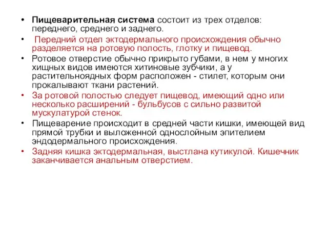 Пищеварительная система состоит из трех отделов: переднего, среднего и заднего. Передний