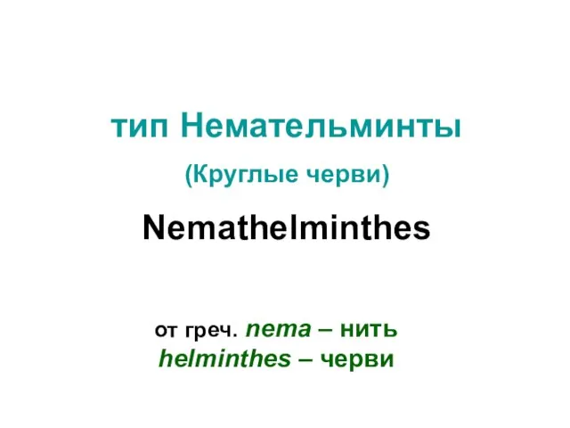 тип Немательминты (Круглые черви) Nemathelminthes от греч. nema – нить helminthes – черви