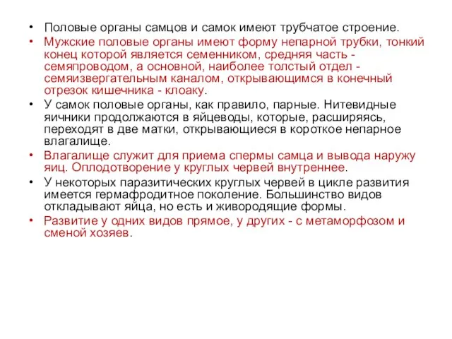 Половые органы самцов и самок имеют трубчатое строение. Мужские половые органы