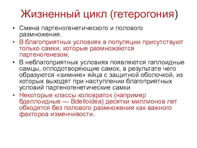 Жизненный цикл (гетерогония) Смена партеногенетического и полового размножения. В благоприятных условиях