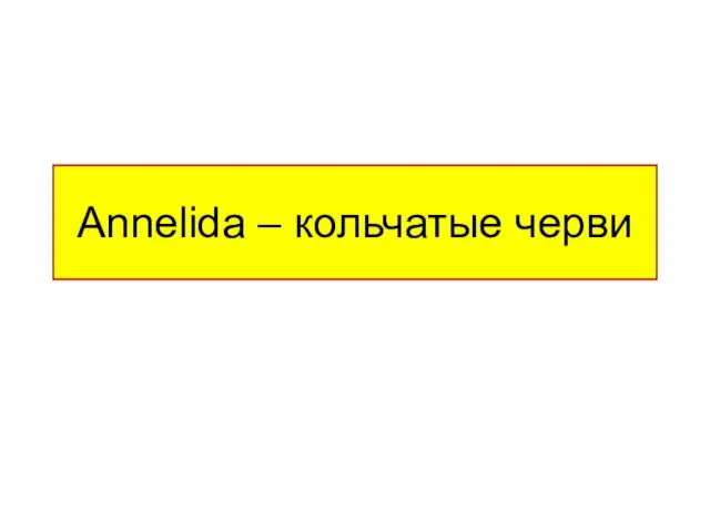 Annelida – кольчатые черви