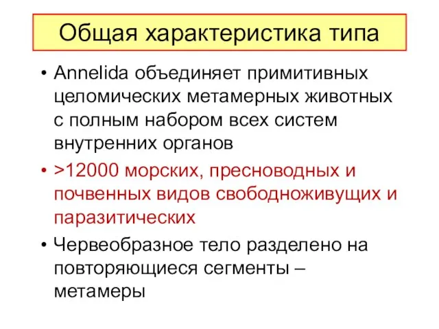 Общая характеристика типа Annelida объединяет примитивных целомических метамерных животных с полным