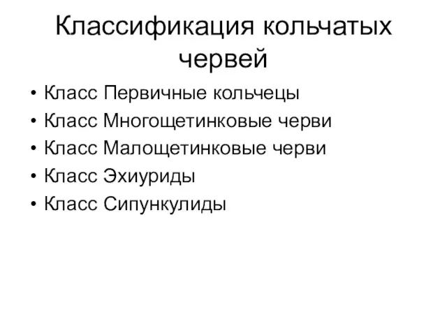 Классификация кольчатых червей Класс Первичные кольчецы Класс Многощетинковые черви Класс Малощетинковые черви Класс Эхиуриды Класс Сипункулиды