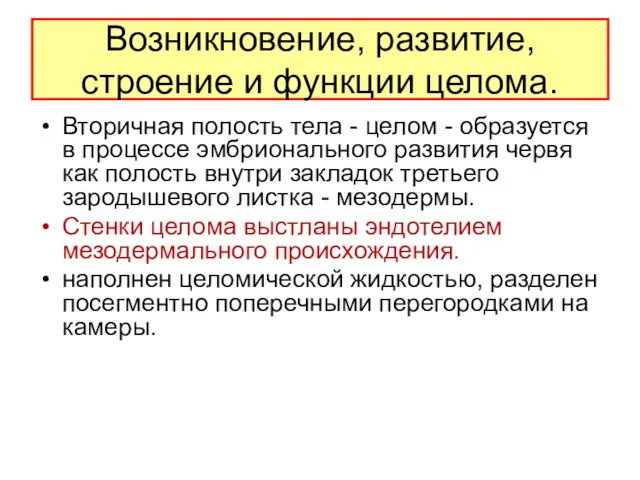 Возникновение, развитие, строение и функции целома. Вторичная полость тела - целом