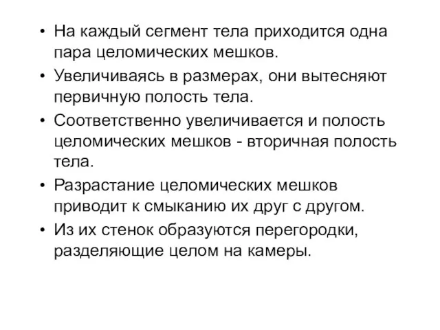 На каждый сегмент тела приходится одна пара целомических мешков. Увеличиваясь в