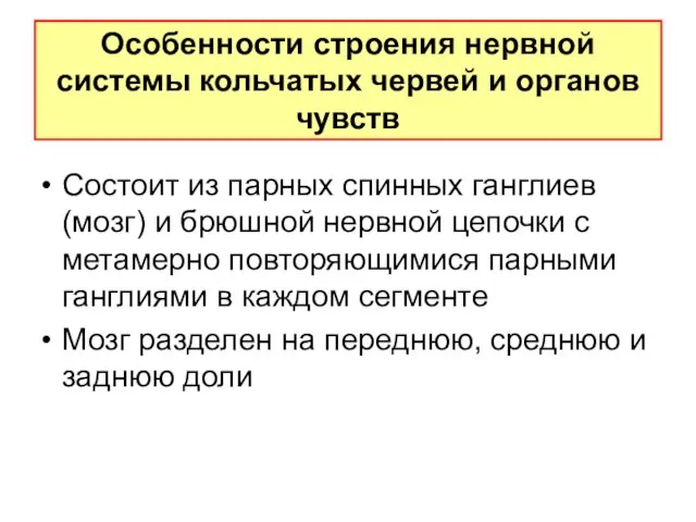 Особенности стpоения неpвной системы кольчатых червей и оpганов чувств Состоит из