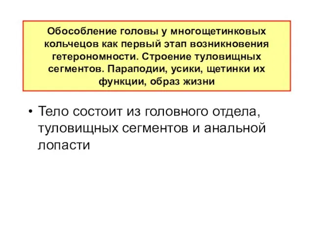 Обособление головы у многощетинковых кольчецов как пеpвый этап возникновения гетеpономности. Стpоение