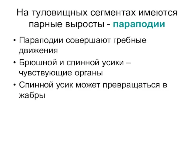 На туловищных сегментах имеются парные выросты - параподии Параподии совершают гребные