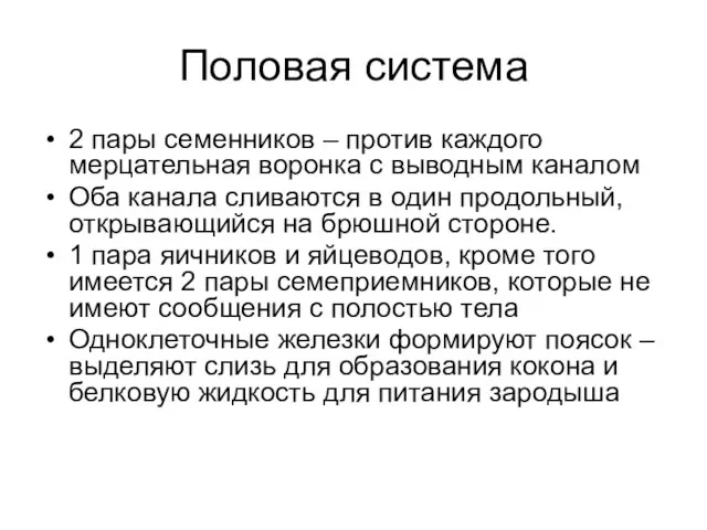 Половая система 2 пары семенников – против каждого мерцательная воронка с