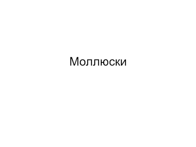 Моллюски