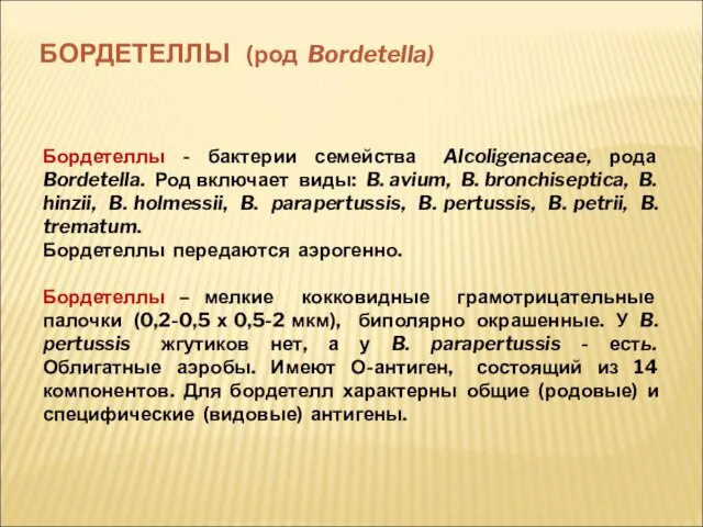 БОРДЕТЕЛЛЫ (род Bordetella) Бордетеллы - бактерии семейства Alcoligenaceae, рода Bordetella. Род