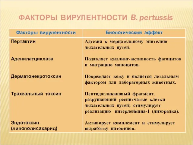 ФАКТОРЫ ВИРУЛЕНТНОСТИ B. pertussis